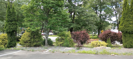 Cafe «Terra Cottage Cafe and Gifts», reviews and photos, 291 Lake Harmony Rd, Lake Harmony, PA 18624, USA