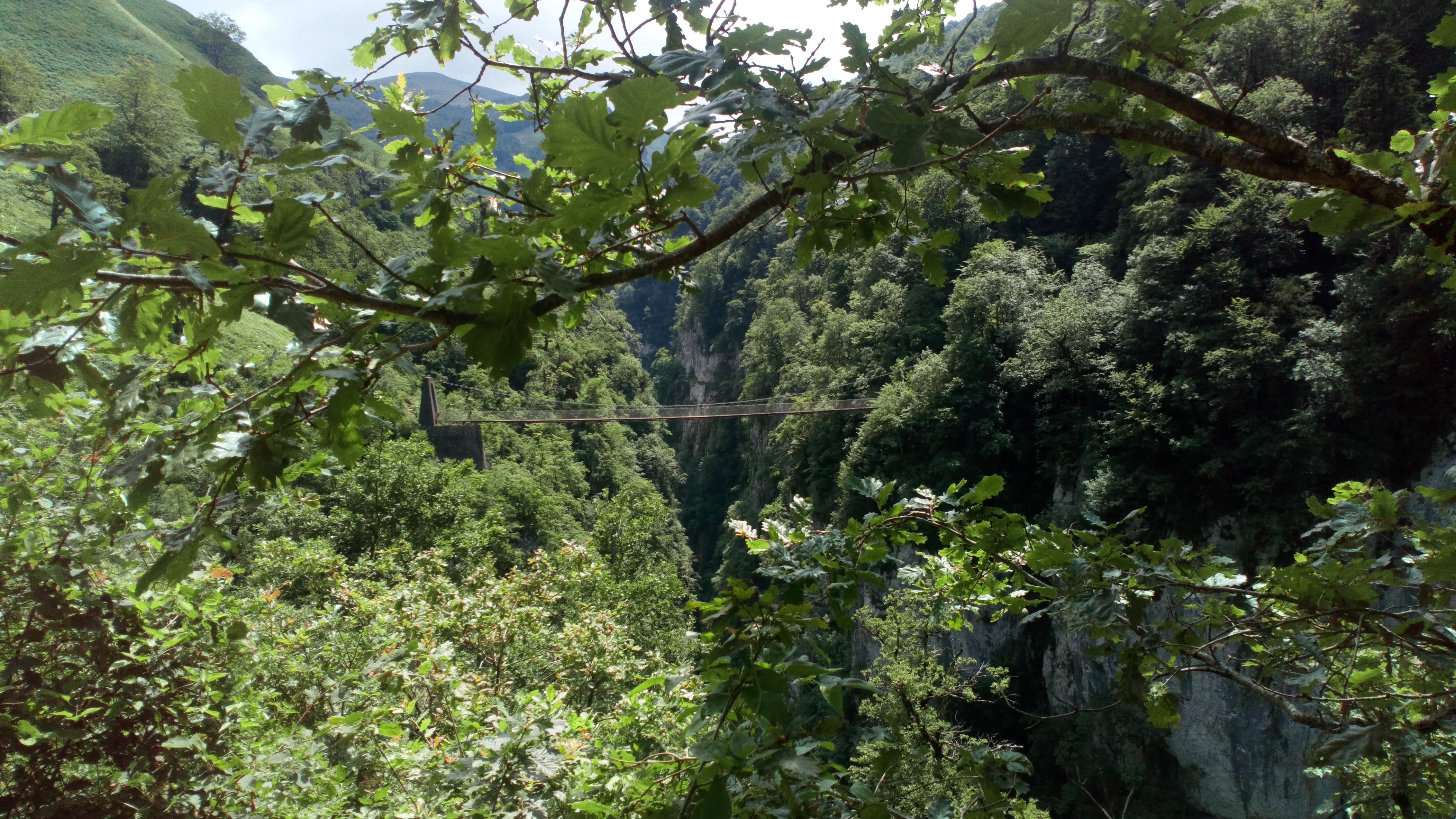 Photo n° 2 de l'avis de DUSSOUL.h fait le 16/07/2019 à 20:15