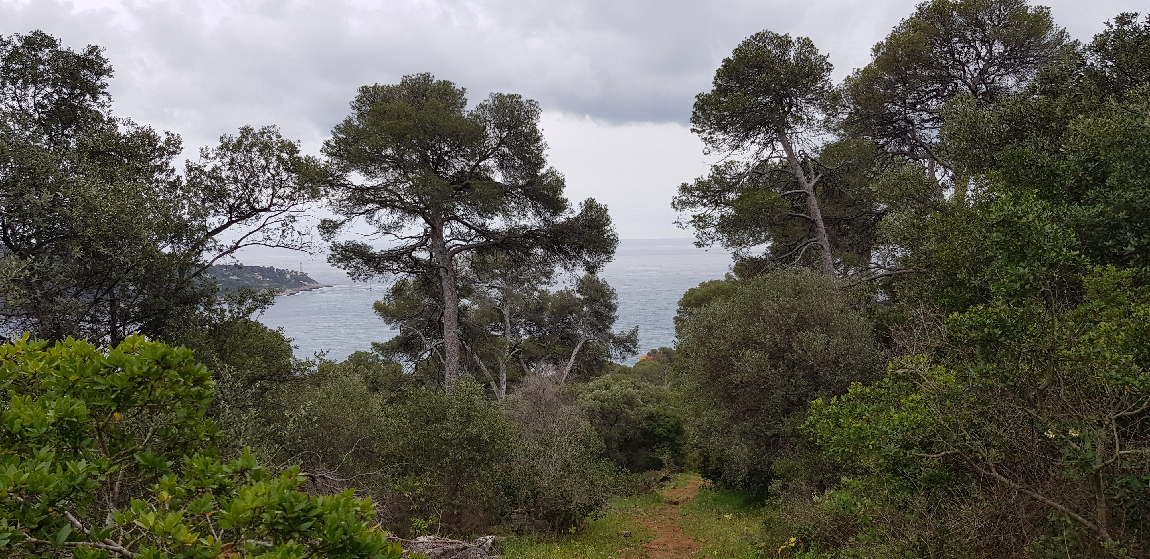 Photo n° 1 de l'avis de clement.e fait le 01/05/2018 à 11:13