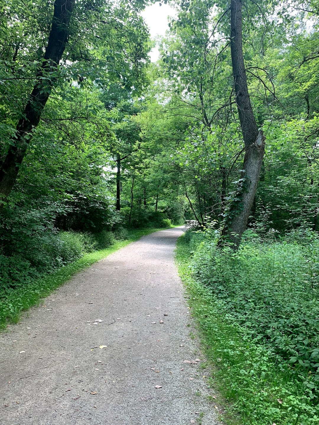 Lower River Rouge Recreation Trail