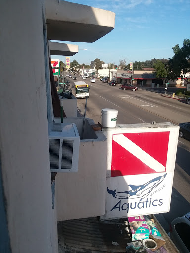 Santa Barbara Aquatics image