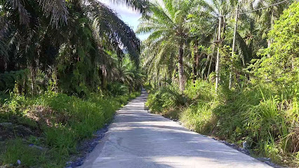 Sabah Property