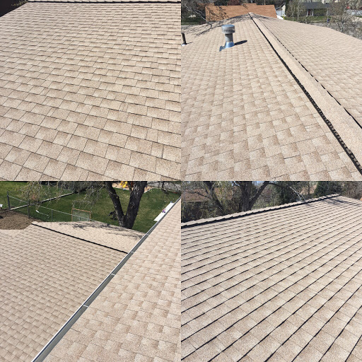 Roofing Contractor «The Roof Doctor», reviews and photos