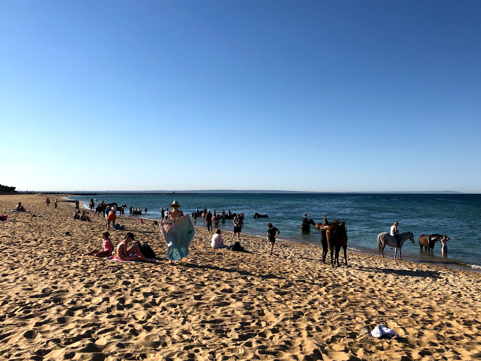 Mordialloc Beach photo #9