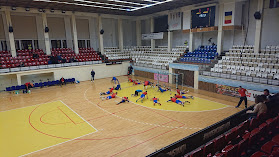 Sala Sporturilor