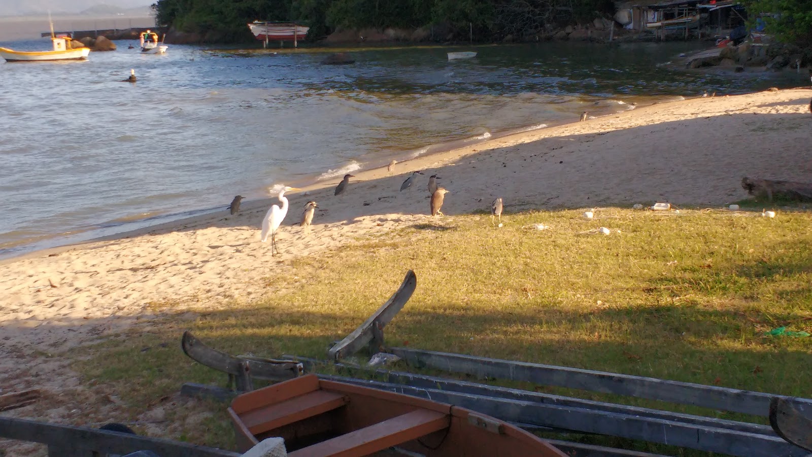 Praia do Riso photo #8