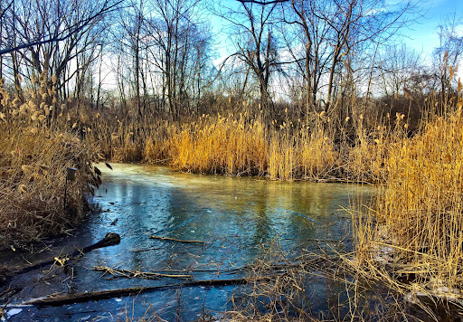 Nature Preserve «Teaneck Creek Conservancy», reviews and photos, 20 Puffin Way, Teaneck, NJ 07666, USA