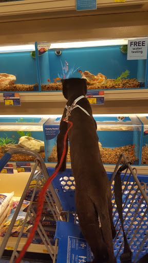 Pet Supply Store «PetSmart», reviews and photos, 291 Skokie Blvd, Northbrook, IL 60062, USA