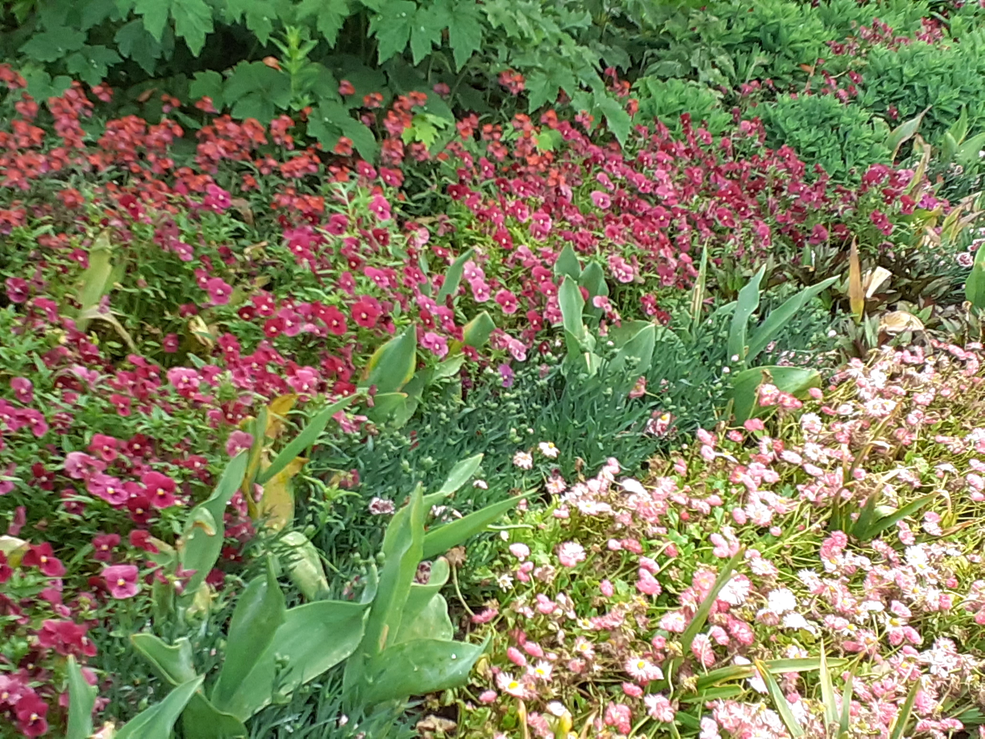 Photo n° 3 de l'avis de Chantal.a fait le 23/05/2023 à 20:43