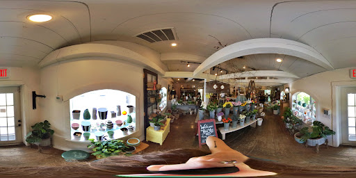 Boutique «Petal & Vine LLC», reviews and photos, 596 Indian Rocks Rd N, Largo, FL 33770, USA