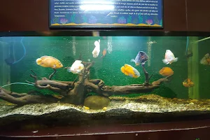 Gautam Aquarium image