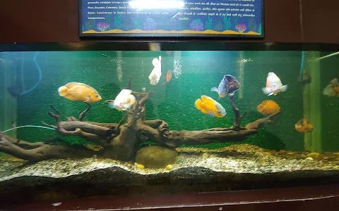 Gautam Aquarium image