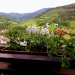 Photo n°1 de l'avis de Peter.r fait le 24/05/2017 à 18:01 sur le  Hotel Schauinsland à Bad Peterstal-Griesbach