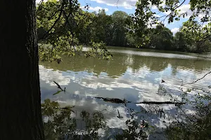 Reed-Turner Woodland Nature Center image