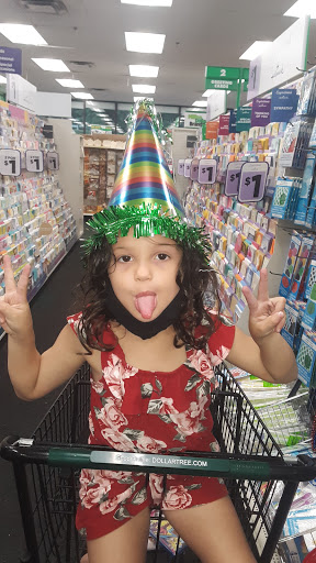 Dollar Store «Dollar Tree», reviews and photos, 200 N Best Ave f, Walnutport, PA 18088, USA