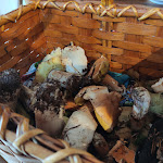 Photo n° 2 de l'avis de Chantal.a fait le 24/10/2021 à 03:53 pour Auberge le Bon Accueil à Paulhac-en-Margeride