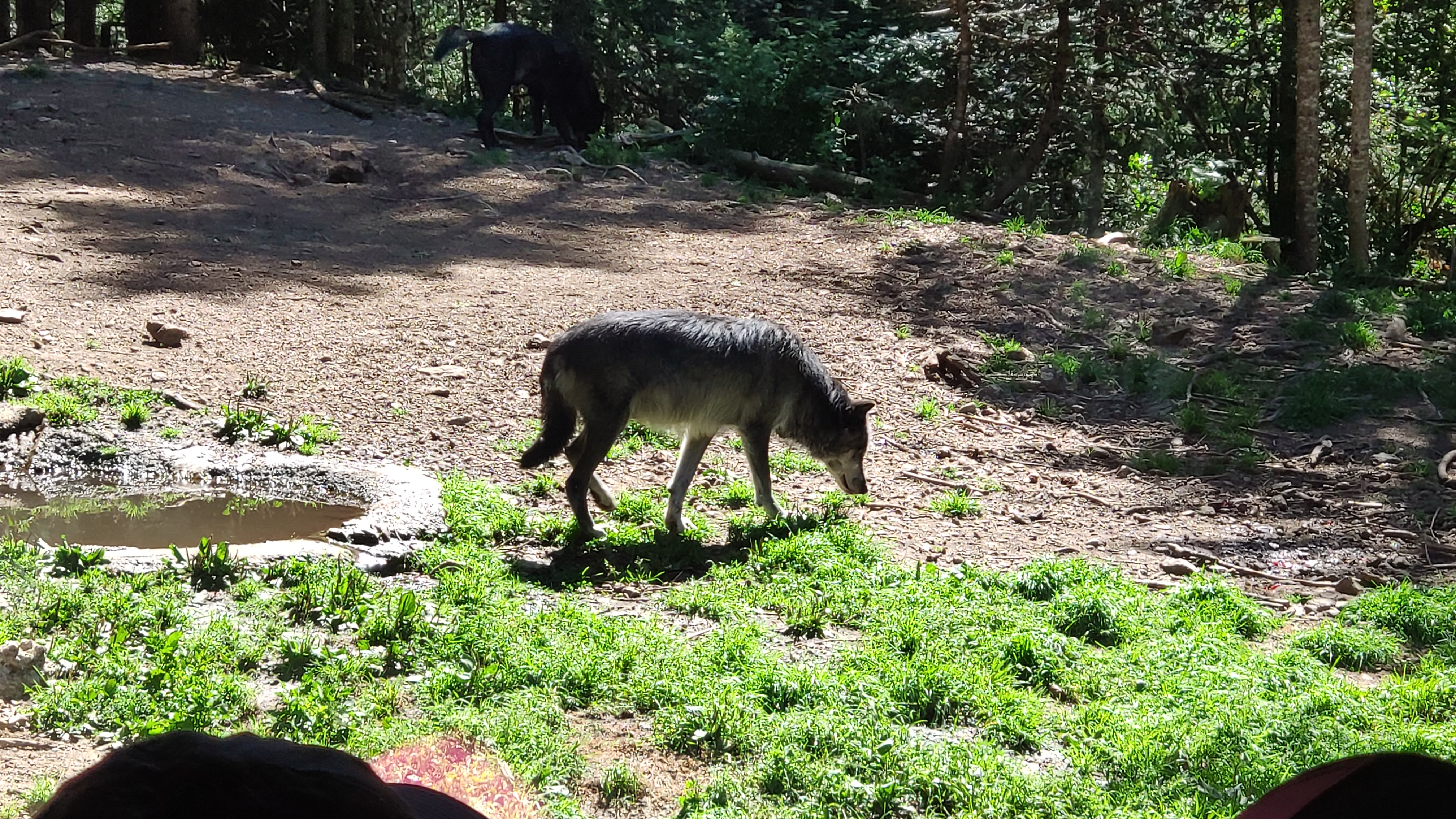 Photo n° 3 de l'avis de Vince.e fait le 09/08/2019 à 21:01