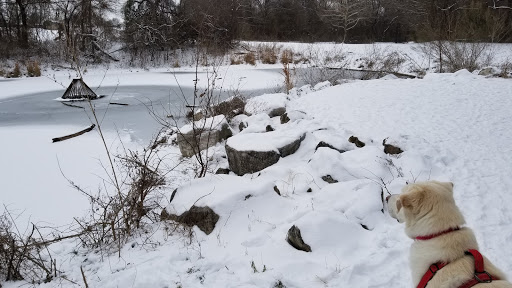 Park «Hoblitzelle Park», reviews and photos, 7500 Red River Dr, Plano, TX 75025, USA