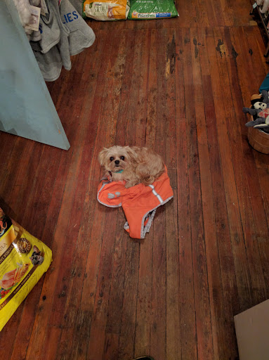 Pet Supply Store «Baltimore Pet Shoppe», reviews and photos, 4532 Baltimore Ave, Philadelphia, PA 19143, USA