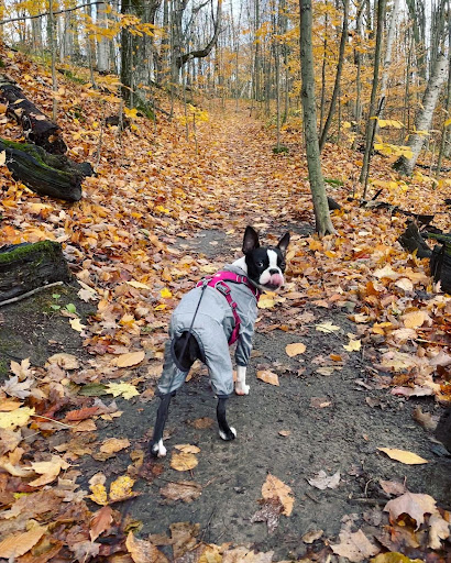 Pet Supply Store «Pets Naturally», reviews and photos, 1420 W South Airport Rd, Traverse City, MI 49686, USA