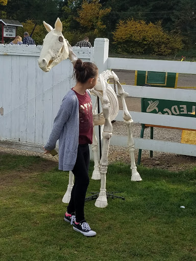 Pumpkin Patch «Rutledge Corn Maze LLC», reviews and photos, 302 93rd Ave SE, Olympia, WA 98501, USA