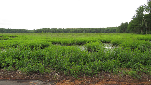 State Park «Lowell-Dracut-Tyngsborough State Forest», reviews and photos, Trotting Park Rd, Dracut, MA 01826, USA