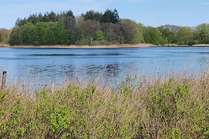 Bredenbeker Teich und Umgebung image