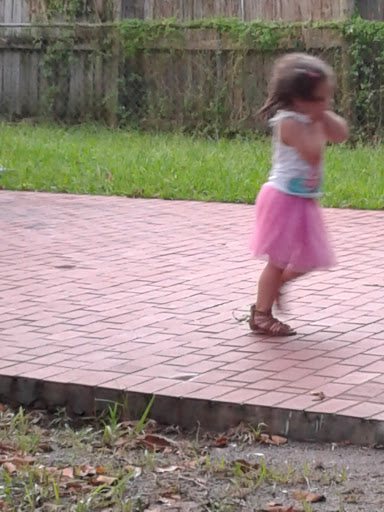 Park «West-End Park», reviews and photos, 250 SW 60th Ave, Miami, FL 33144, USA