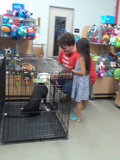 Pet Supply Store «PetSmart», reviews and photos, 6345 Garth Rd #140, Baytown, TX 77521, USA