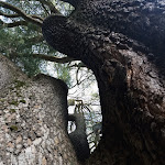 Photo n°23 de l'avis de Poppy.5 fait le 02/10/2023 à 17:12 sur le  Villa Cagnola à Gazzada Schianno