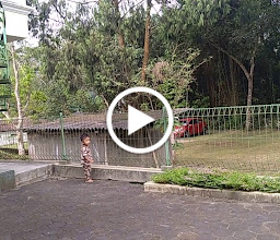 Villa Hanna photo