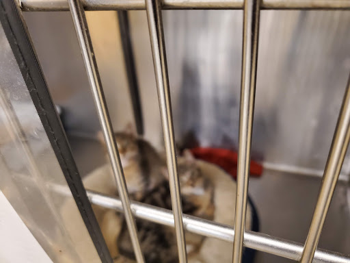 Pet Supply Store «PetSmart», reviews and photos, 6005 Oxon Hill Rd, Oxon Hill, MD 20745, USA