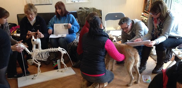Rose Holistic Therapies and Training - Rose Holistic Therapies and Training