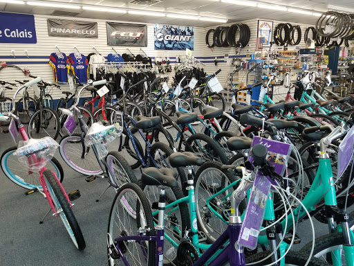 Bicycle Store «Champion Cycling Inc», reviews and photos, 11447 San Jose Blvd, Jacksonville, FL 32223, USA