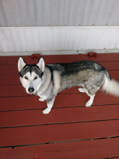 Pet Store «7 Seas Pet Care Center», reviews and photos, 13311 S Brandon Ave, Chicago, IL 60633, USA