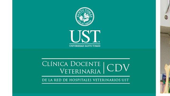 Hospital Clínico Veterinario Docente UST - Hospital