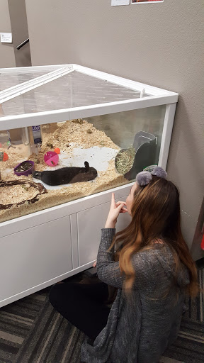 Pet Store «Paws Natural Pet Emporium», reviews and photos, 8551 W Gage Blvd, Kennewick, WA 99336, USA