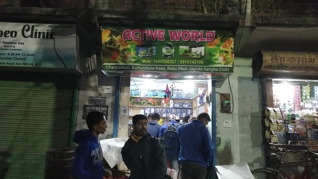 ACTIVE WORLD
