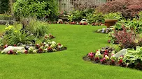 C & T Landscaping - Car repair in , Chicago - Rated 1.0/5