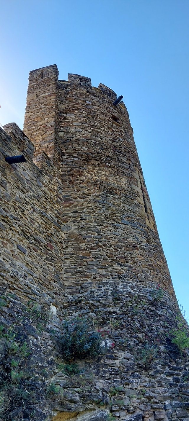 Photo n° 31 de l'avis de Gérard.e fait le 10/04/2023 à 15:40