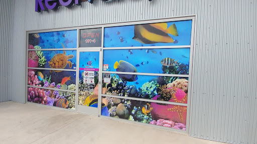 Pet Store «Reef Valley», reviews and photos, 101 N McColl Rd #4, McAllen, TX 78501, USA