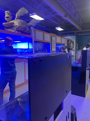 Tropical Fish Store «Nemo Aquarium», reviews and photos, 1560 Indian Trail Rd #106, Norcross, GA 30093, USA