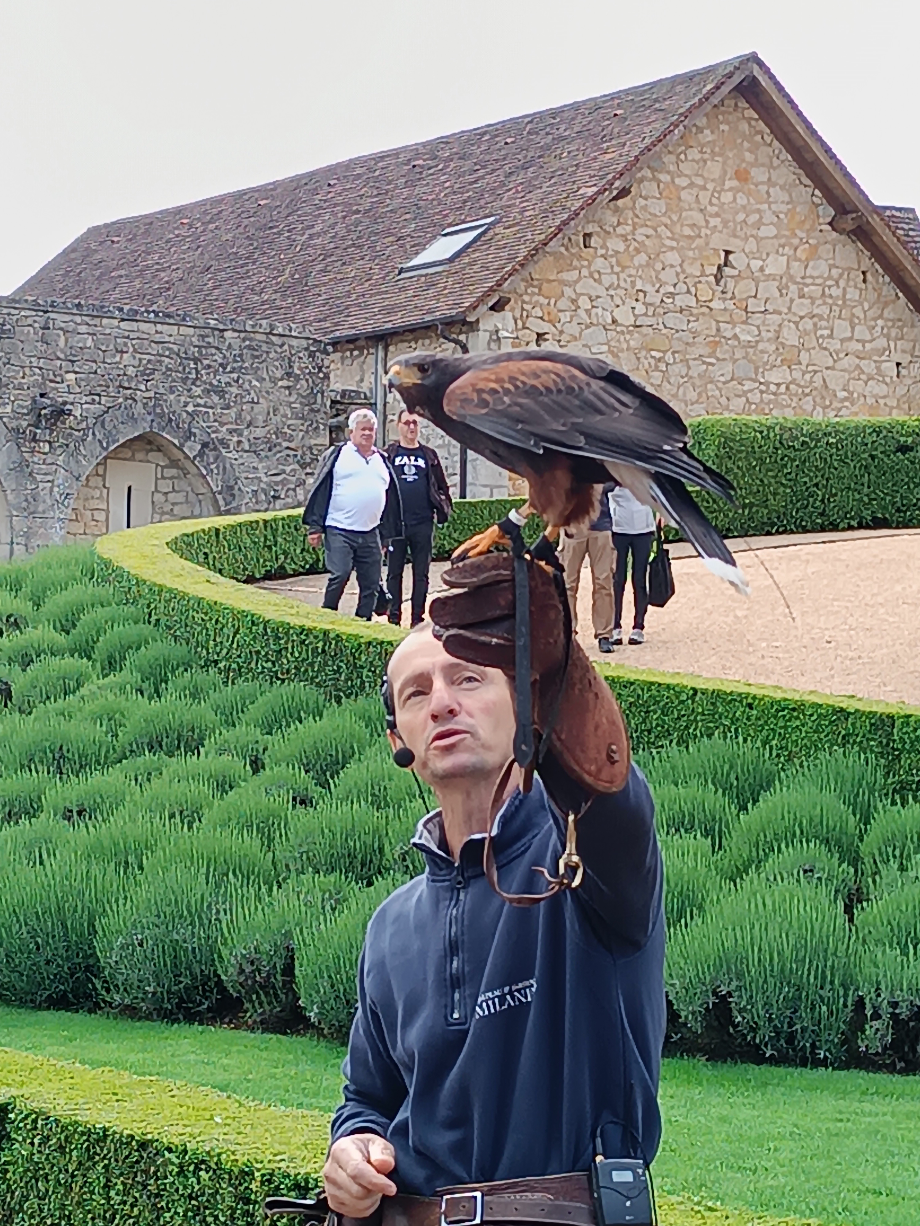 Photo n° 28 de l'avis de Nouredine.b fait le 17/05/2023 à 14:29