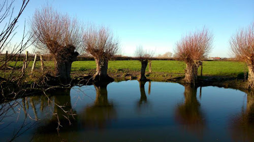 Catteau à Borre