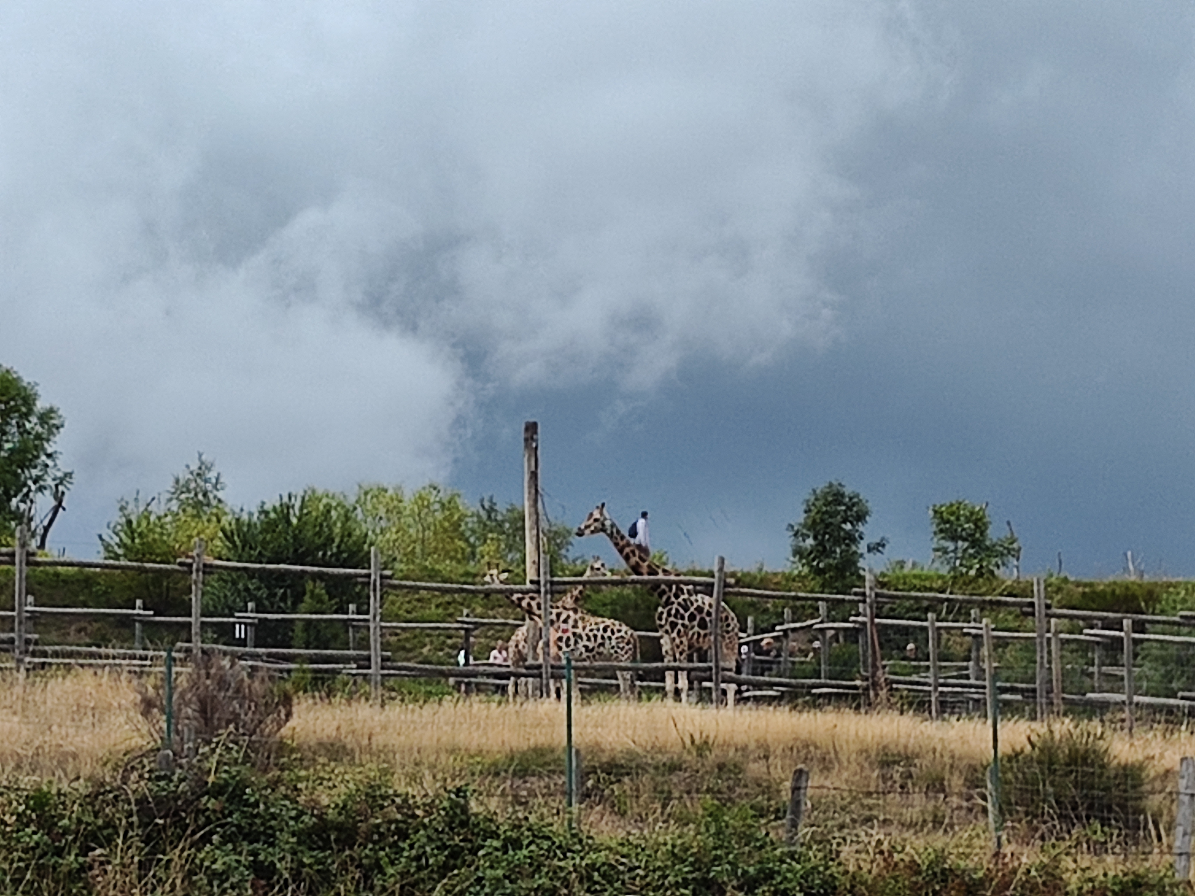 Photo n° 16 de l'avis de fx.e fait le 23/08/2022 à 17:13