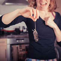 Rhode Island Pest Management - Car repair in Cumberland, RI, Providence - Rated 5.0/5