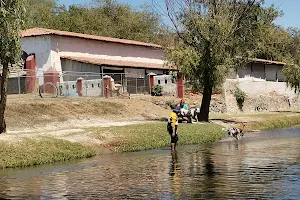 Patitas Club Canino image