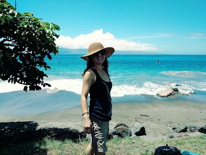 Wahikuli Wayside Park - photo 54