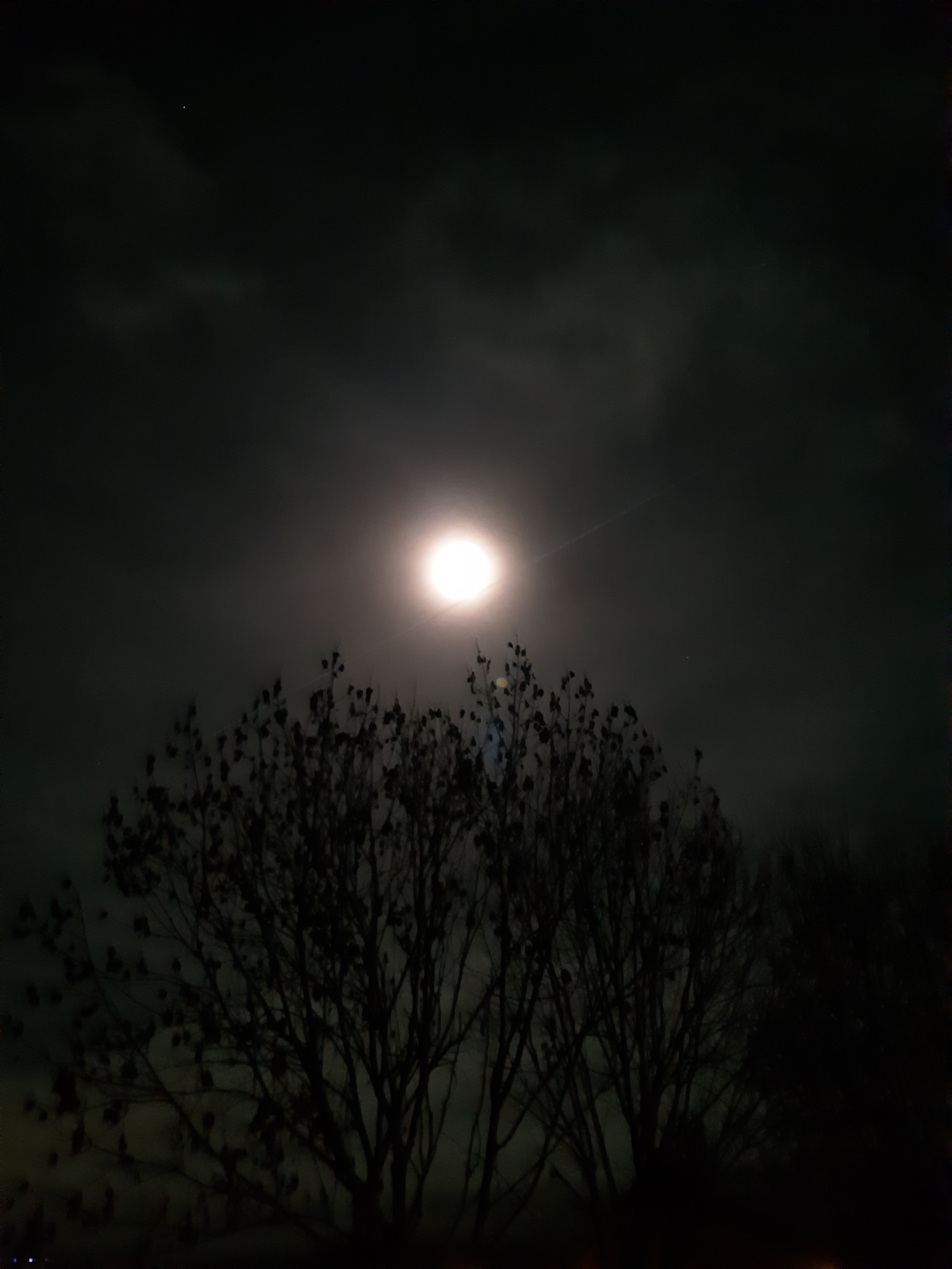 Photo n° 7 de l'avis de JÉJÉ. fait le 29/12/2018 à 13:48
