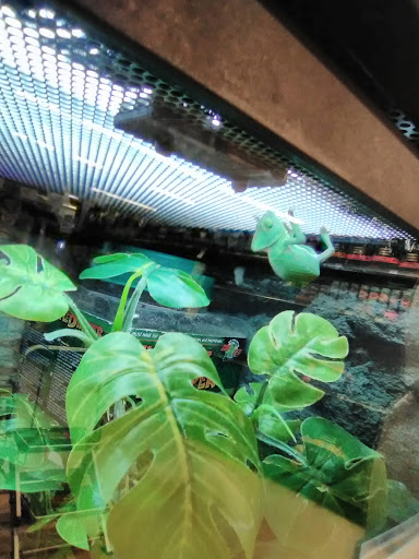 Pet Supply Store «Petco Animal Supplies», reviews and photos, 30697 US Hwy 19 N, Palm Harbor, FL 34684, USA